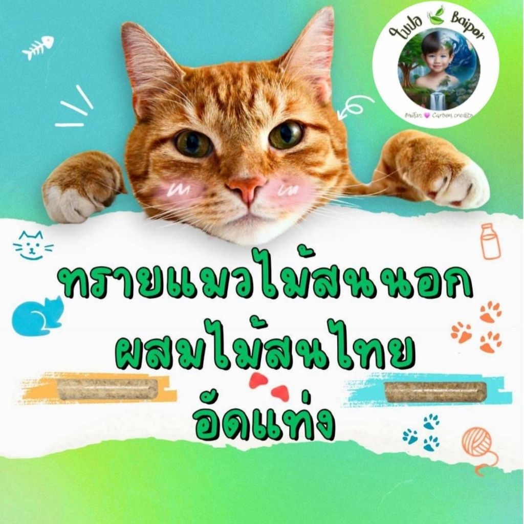 ทรายแมวอัดแท่งไม้สนไทย, ไม้สนนอก