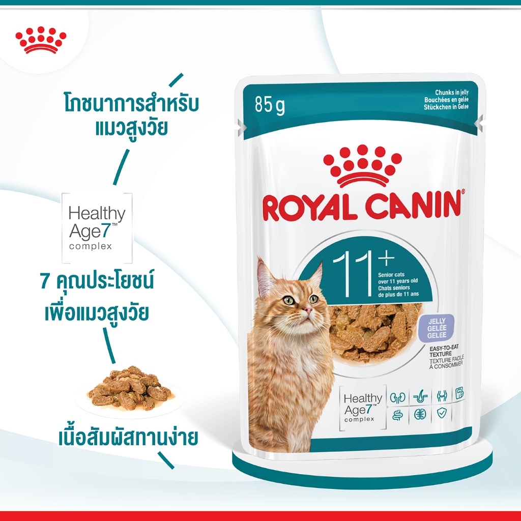 อาหารเปียก royalc canin สําหรับแมวสูงวัย อายุ 11 ปีขึ้นไปชนิดเจลลี่ ROYAL CANIN AGEING 11+ jelly (12ซอง)