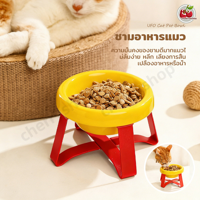 ชามอาหารแมวแบบยกสูง ดีไซน์เพื่อสุขภาพ ช่วยถนอมกระดูกสันหลังและลําคอ แมวกินได้สบายมาก