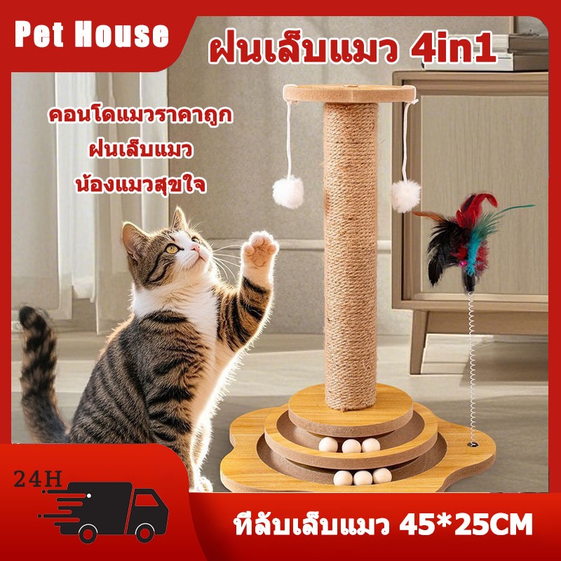 ฝนเล็บแมว คอนโดแมวราคาถูก คอนโดแมว ที่ลับเล็บแมว ที่ฝนเล็บแมว ลับเล็บแมว คอนโดแมวเล็ก ของเล่นแมว ฝนเล็บแมว คอนโดแมวราคาถูก คอนโดแมว ที่ลับเล็บแมว ที่ฝนเล็บแมว ลับเล็บแมว คอนโดแมวเล็ก ของเล่นแมว