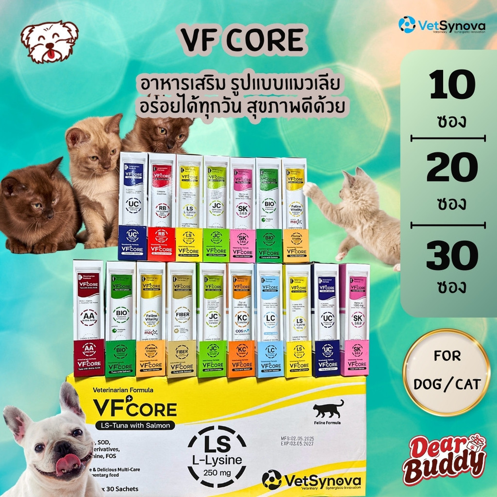 วิตามินรูปแบบเลีย VF+ core สําหรับสุนัขและแมว แมวเลีย สุนัขเลีย หมาเลีย เสริมภูมิ L-lysine RB Joint