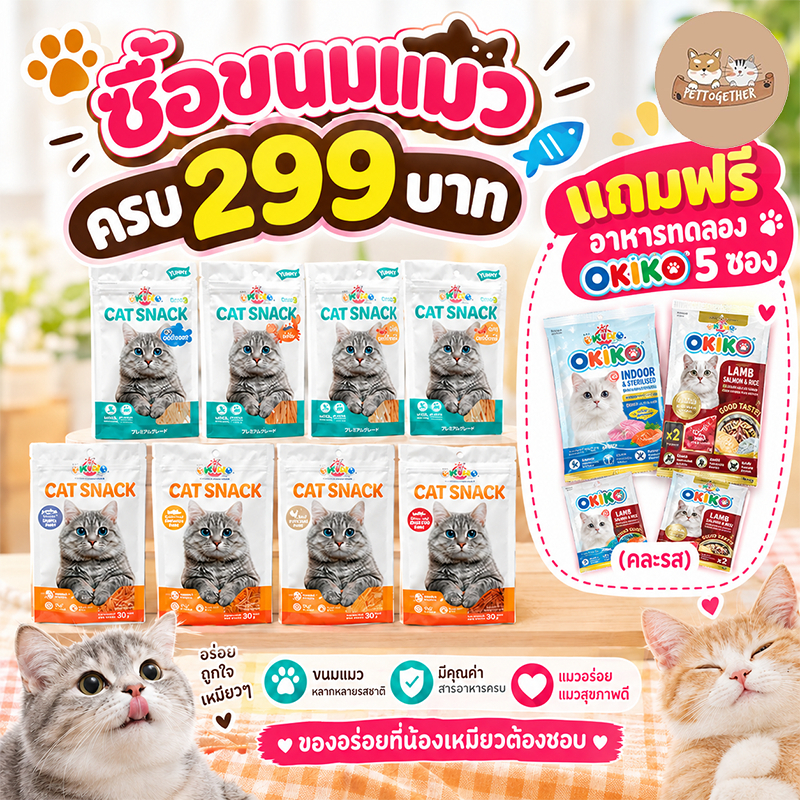 OKIKO โอกิโกะ CAT SNACK ขนมแมว ปลาเส้น มี 3 แบบ ขนาด 27 g