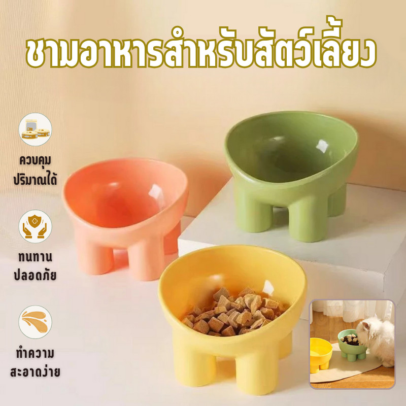 ชามกันมด แมว ชามอาหารแมว ชามอาหารสัตว์เลี้ยง ทรงเฉียง ชามอาหารสุนัข ที่วางอาหารสัตว์เลี้ยง เครื่องให้อาหารสัตว์เลี้ยง