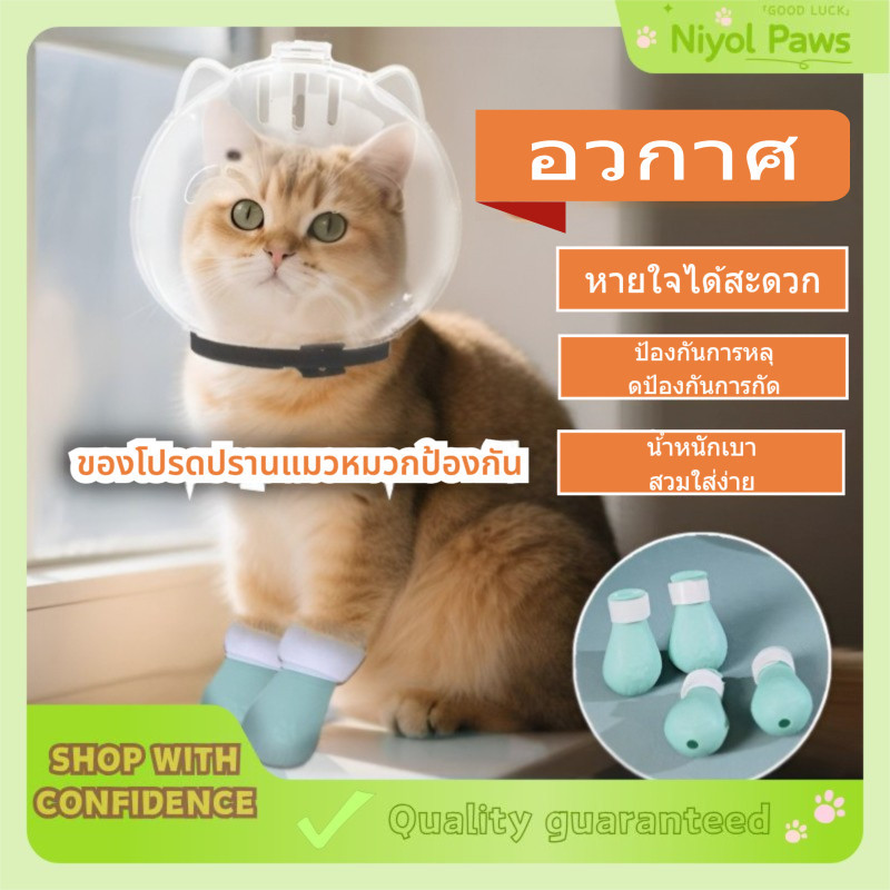 หมวกกันกัดกันเลียแมว ฮูดใสระบายอากาศดี หมวกครอบกันแผลหลังผ่าตัด ใส่สบาย ไม่ร้อน