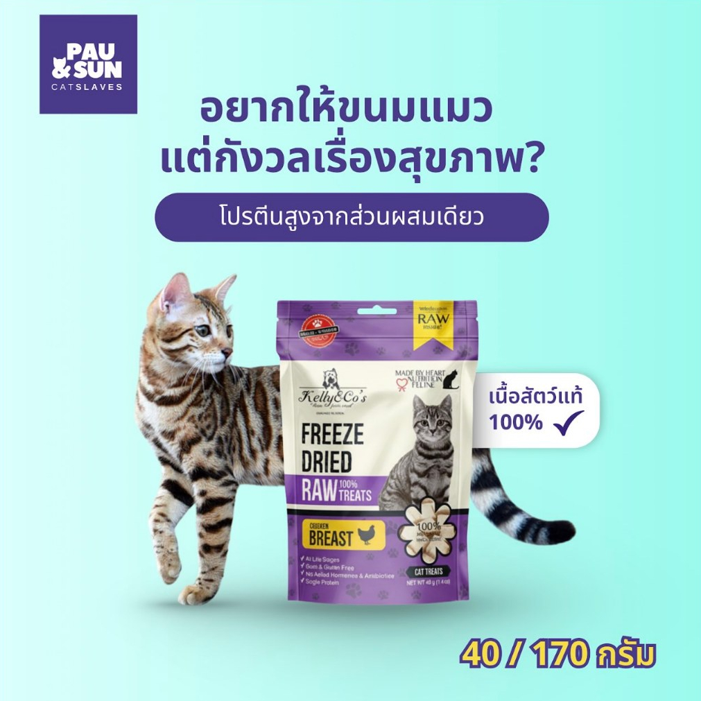 Kelly&Co Freeze-Dried Raw Treats ขนมแมวฟรีซดราย 40g & 170g เนื้อสัตว์แท้ 100% โปรตีนสูง Cat Treat High Reward
