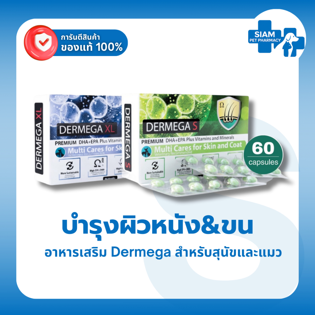 1 กล่อง) Dermega Omega 3 Algae Oil บํารุงขนผิว ลดคัน ผิวอักเสบ สําหรับสุนัขแมว S/XL 60 แคปซูล Coatex