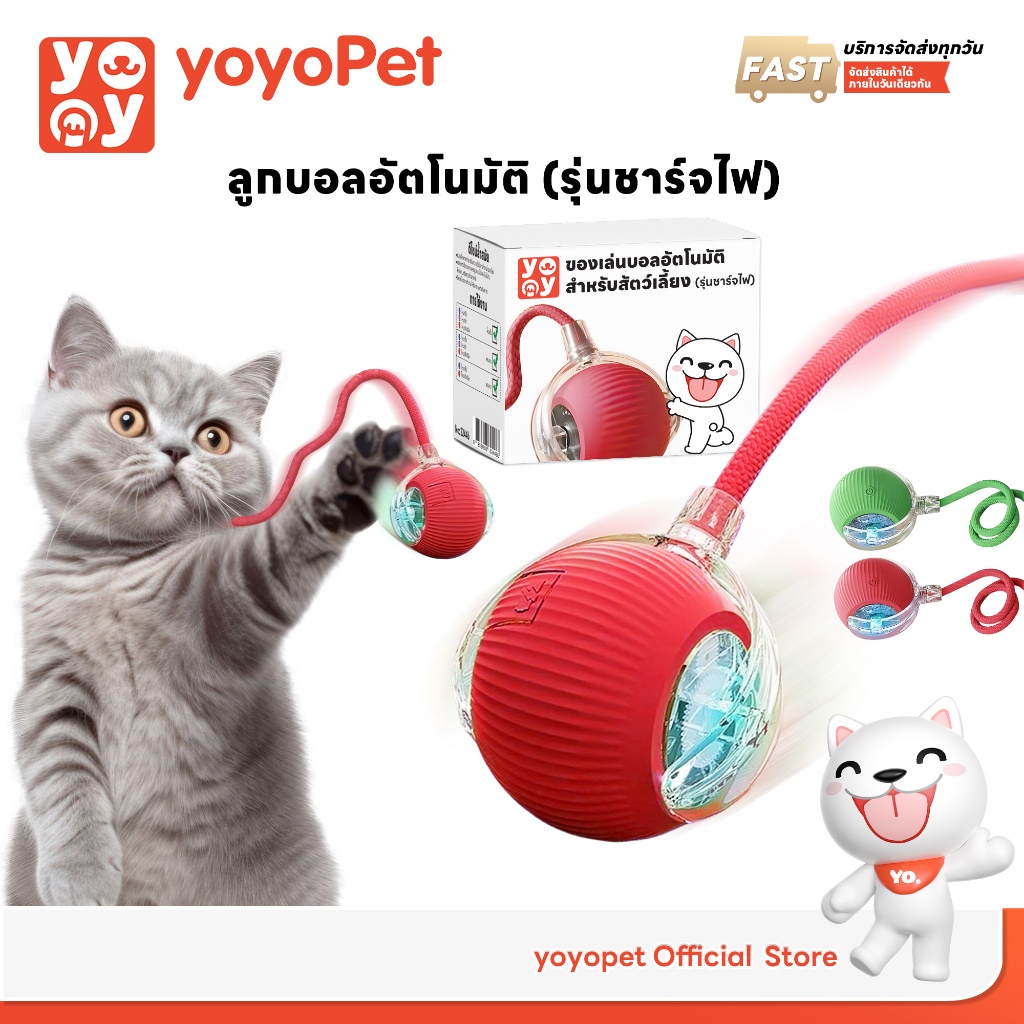 Rolling ball ลูกบอลอัตโนมัติ ของเล่นหมา แมว เล่นสนุก คลายเครียด รุ่นชาร์จไฟ สายUSB