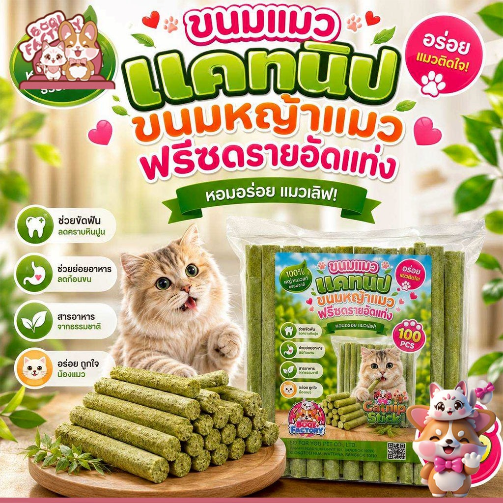 ขนมหญ้าแมว ผลิตจากต้นอ่อนข้าวสาลี ช่วยขัดฟัน 1 ถุง บรรจุ 100 ชิ้น Catnip Sticks 100pcs