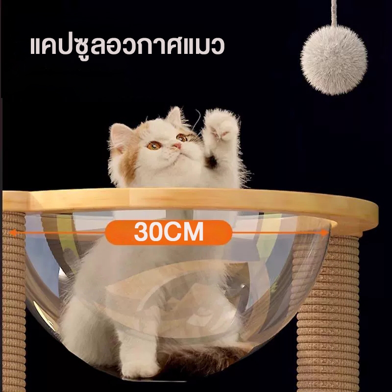 สินค้ามาใหม่]F&Gแคปซูลอวกาศแมว คอนโดแมวไม้แมว ชิ้นส่วนDIY รับน้ําหนัก10kg ของเล่นแมว คุณภาพดี จัดส่งเร็ว อุปกรณ์คอนโดแมว