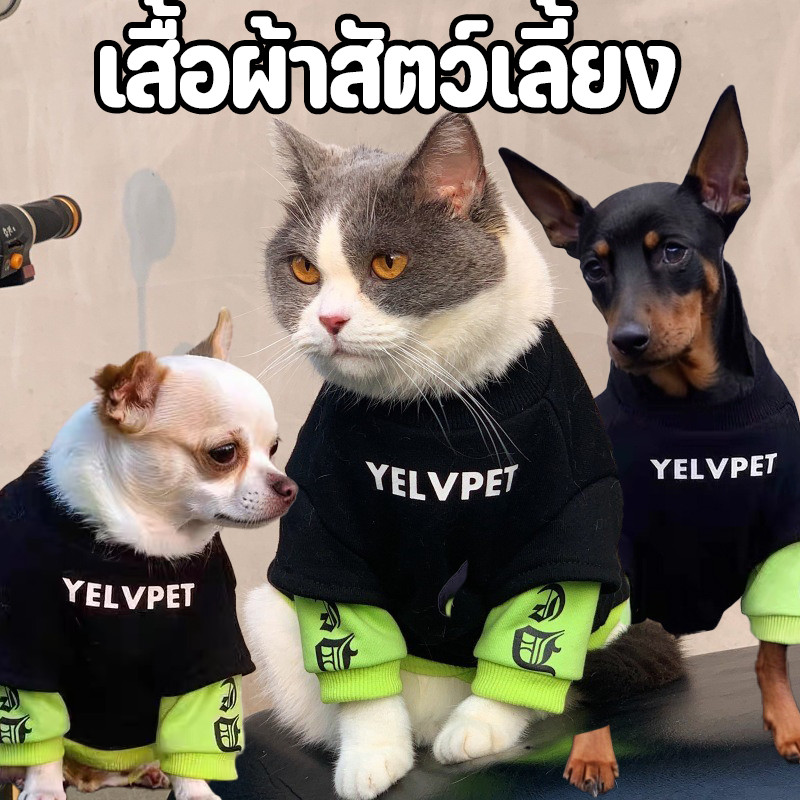 เสื้อสเวตเตอร์สัตว์เลี้ยง เสื้อสเวตเตอร์สัตว์เลี้ยงสไตล์คูล แฟชั่นทนทาน กันลมกันหนาว สําหรับหมาและแมว