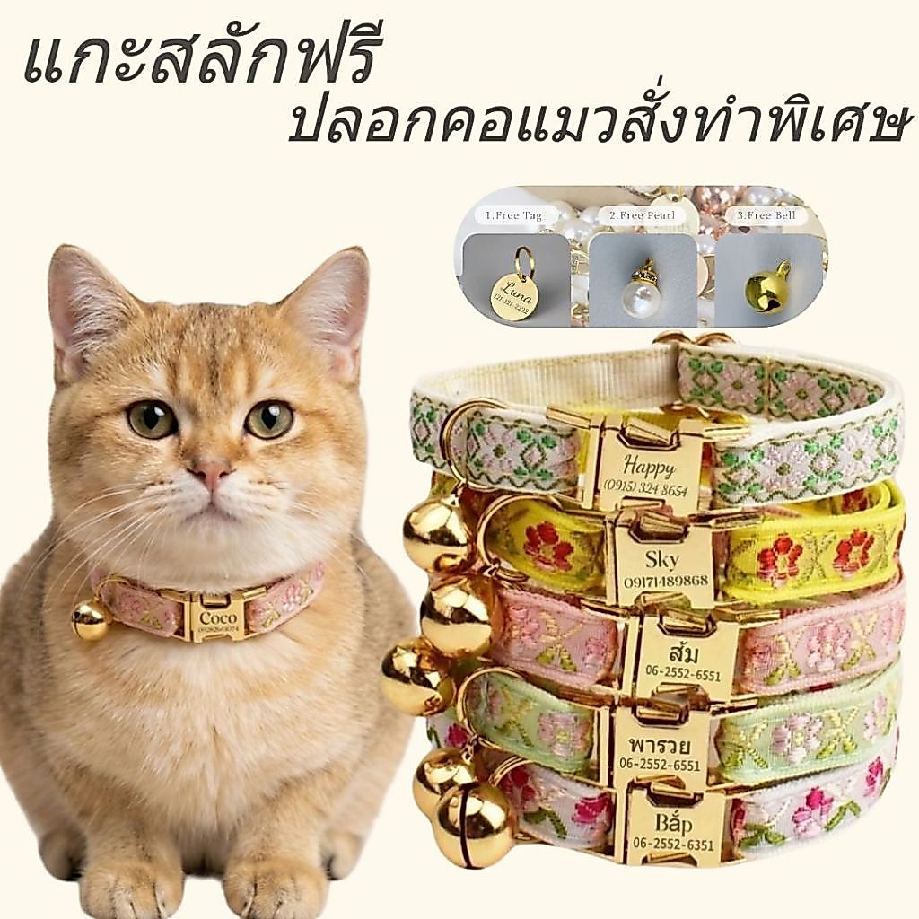 ดอกไม้ที่มีสีสันส่วนบุคคลปลอกคอแมวที่กําหนดเองแกะสลักลูกแมวปลอกคอฟรีทองเบลล์แมวปกกับชื่อแท็กหญิงสัตว์เลี้ยงของขวัญ