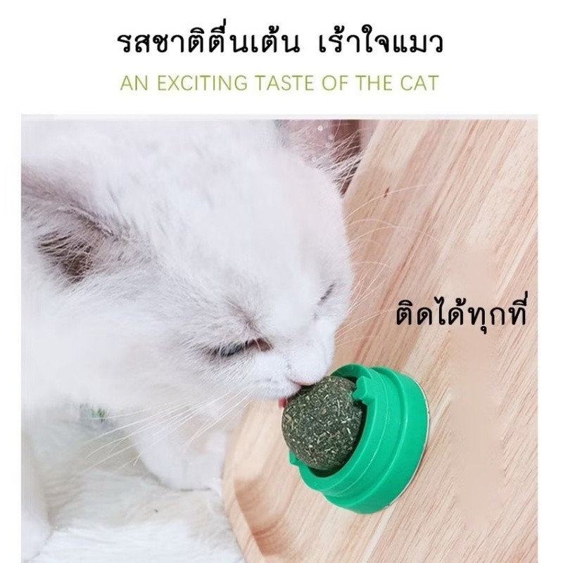 แคทนิป, หญ้าแมว, กัญชาแมว, ลูกบอลแคทนิป, ลูกบอลแคทนิปสําหรับเลีย, ลูกบอลแคทนิปแขวนบนผนัง