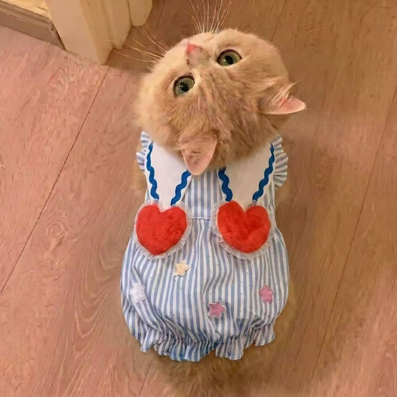 กระโปรงฟองน่ารักสัตว์เลี้ยงชุดฤดูร้อน,บางระบายอากาศแขนกุดเสื้อผ้าสําหรับสุนัขขนาดเล็กขนาดกลางแมว,พอดีเท็ดดี้บิชอน ชิสุทุกวันเดินชุ