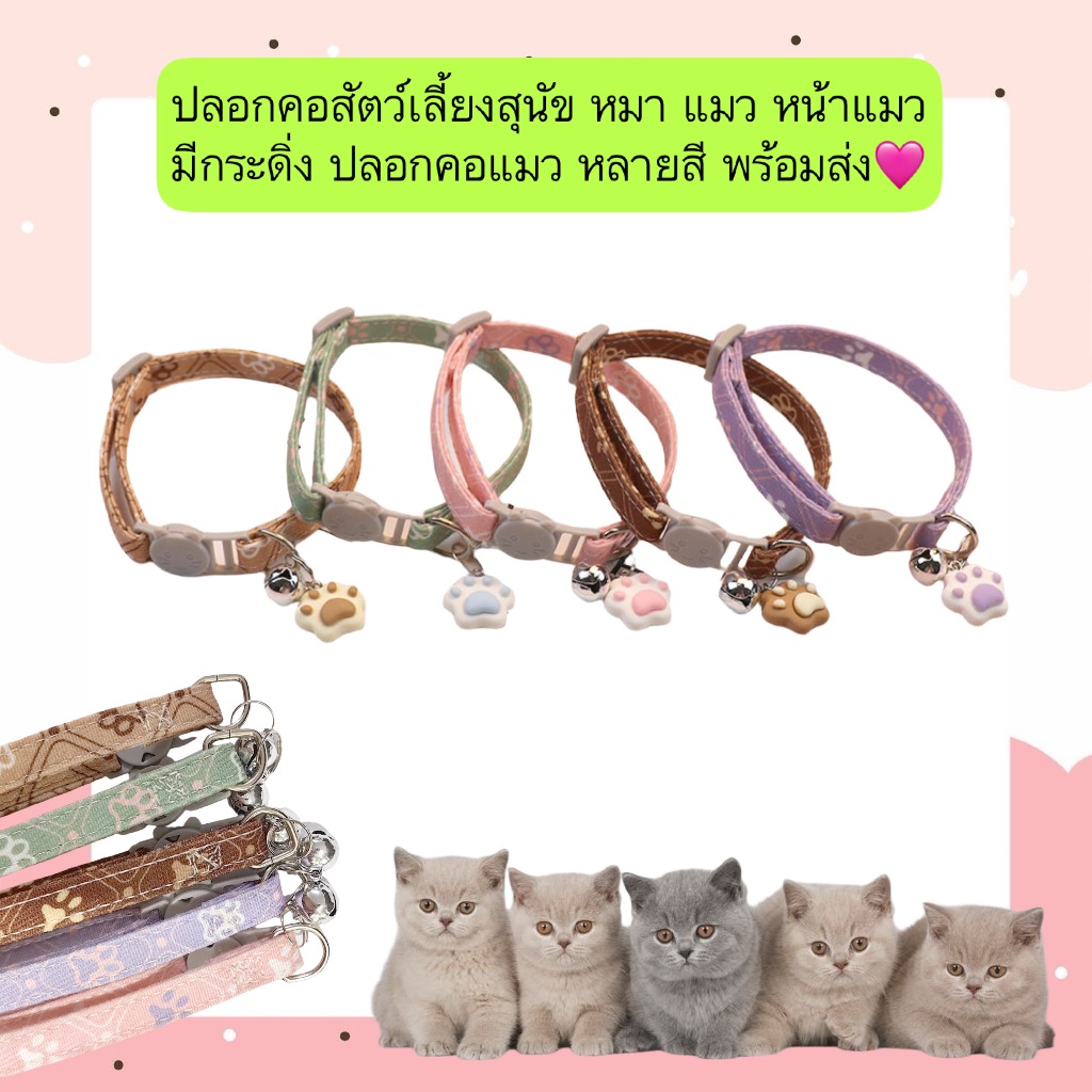 BN-549 🐾 ปลอกคอสัตว์เลี้ยง ลายหน้าแมวสุดน่ารัก พร้อมกระดิ่ง สําหรับสุนัข แมว ใส่แล้วดูคิวท์สุด ๆ 🐶🐱 ปลอกคอนุ่ม ใส่ง่าย ป
