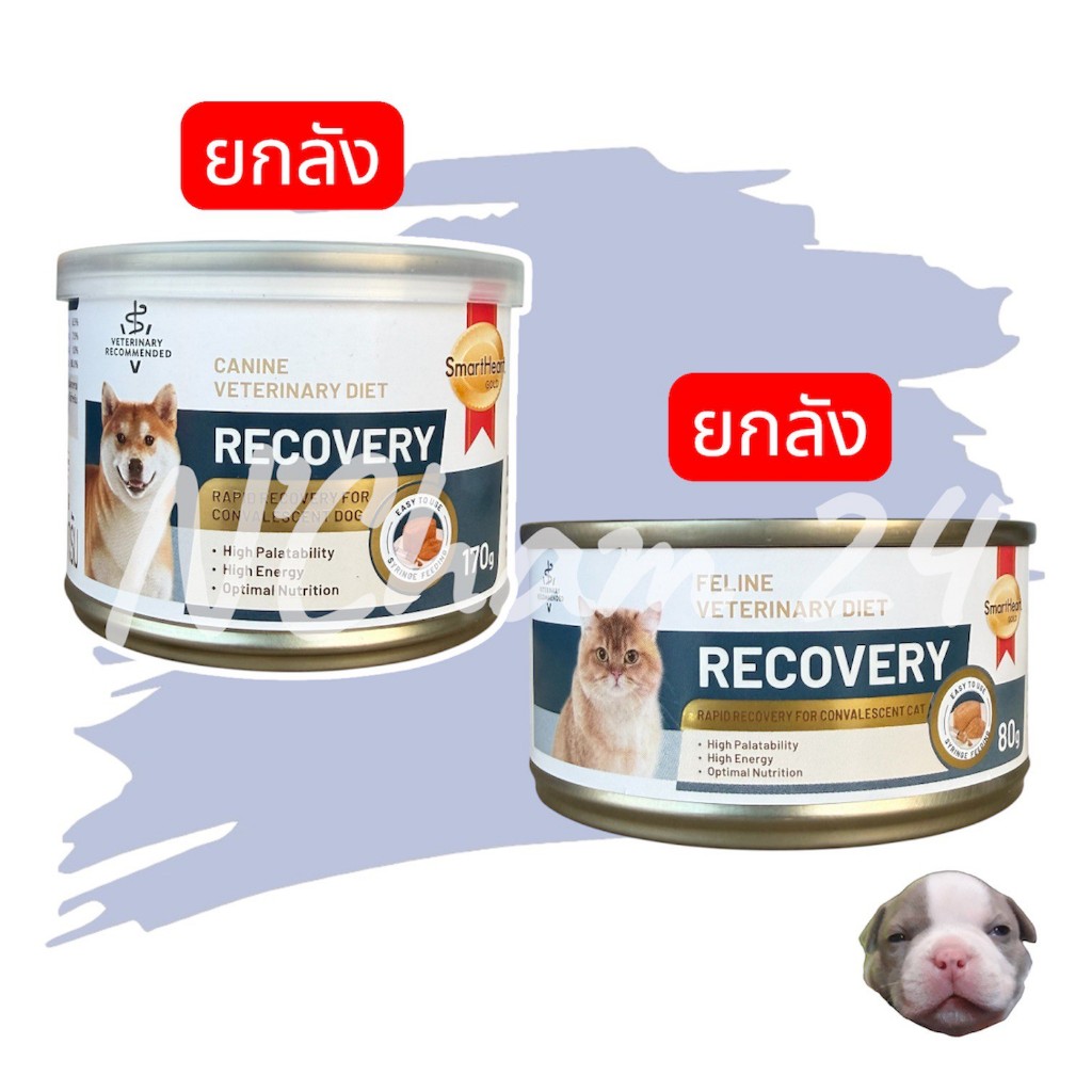 โปรดอ่านก่อนสั่ง (ยกลัง) Smartheart Gold Recovery 80/170g สุนัขและแมว อาหารเปียก สัตว์ป่วย พักฟื้น