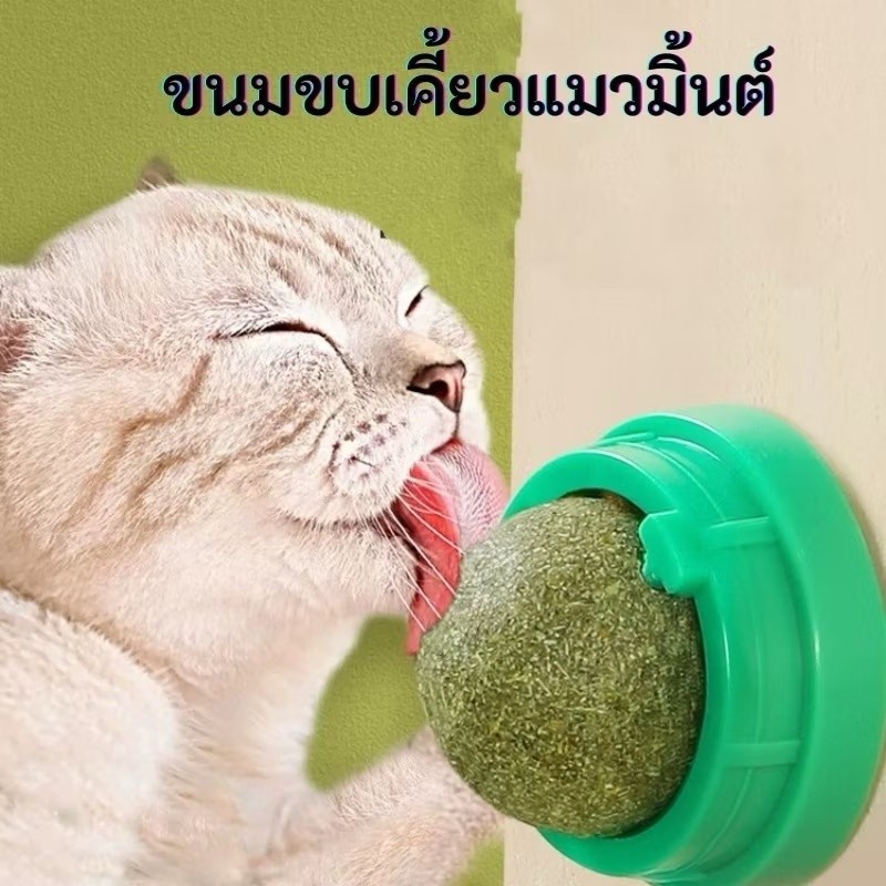 แคทนิป, หญ้าแมว, กัญชาแมว, ลูกบอลแคทนิป, ลูกบอลแคทนิปสําหรับเลีย, ลูกบอลแคทนิปแขวนบนผนัง
