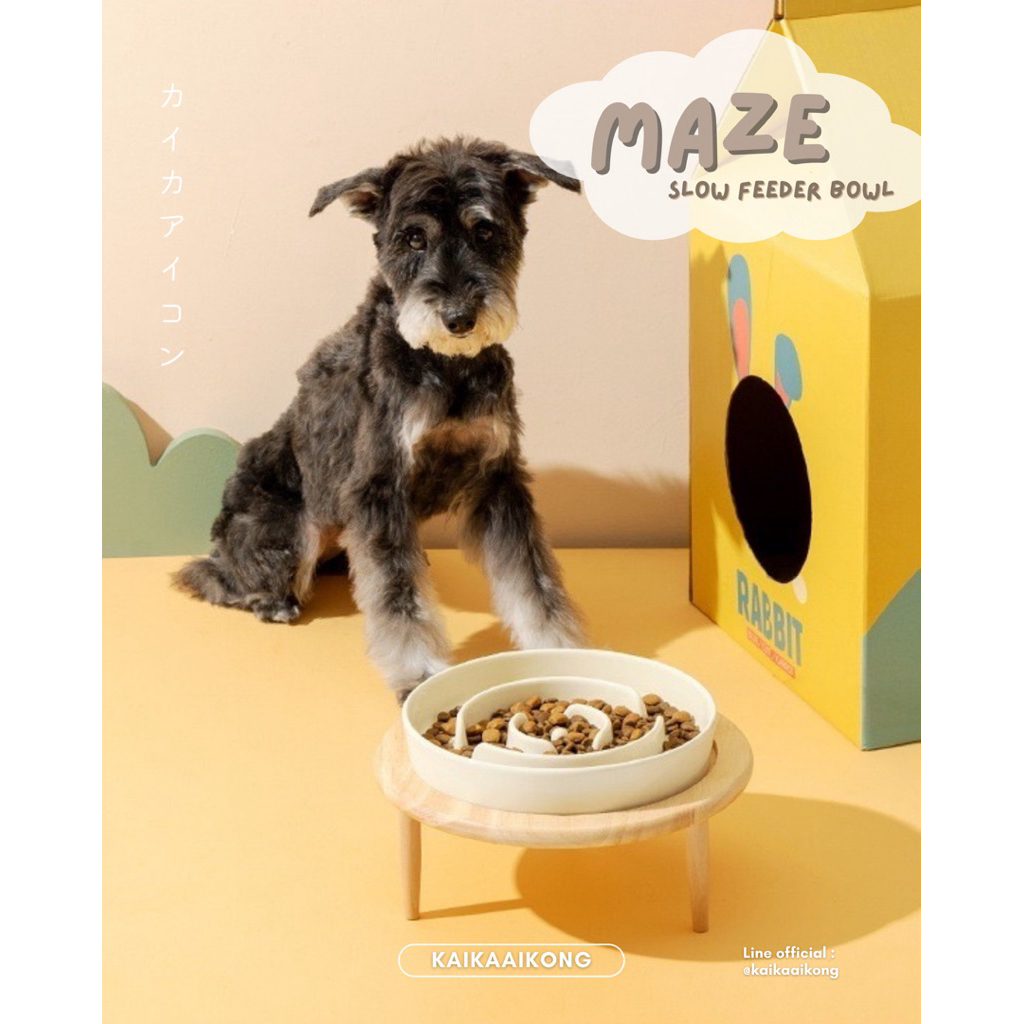 MAZE Slow Feeder Bowl ชามกินช้า ชามกันสําลัก ชามชะลอการกิน ชามสัตว์เลี้ยง ชามเซรามิก ชามสุนัข ชามแมวยกสูง