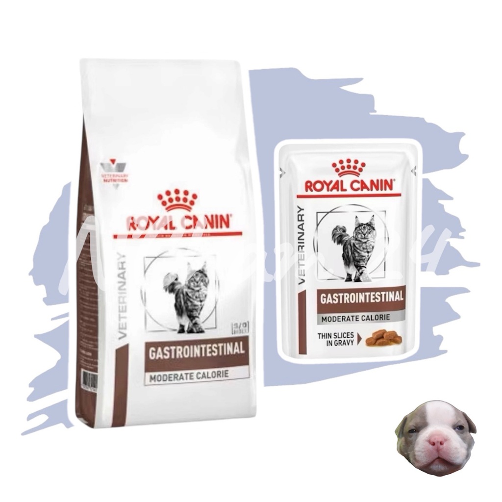 Royal canin Gastrointestinal Moderate Calories อาหารแมว รักษาโรคทางเดินอาหาร จํากัดพลังงาน Gi moderate