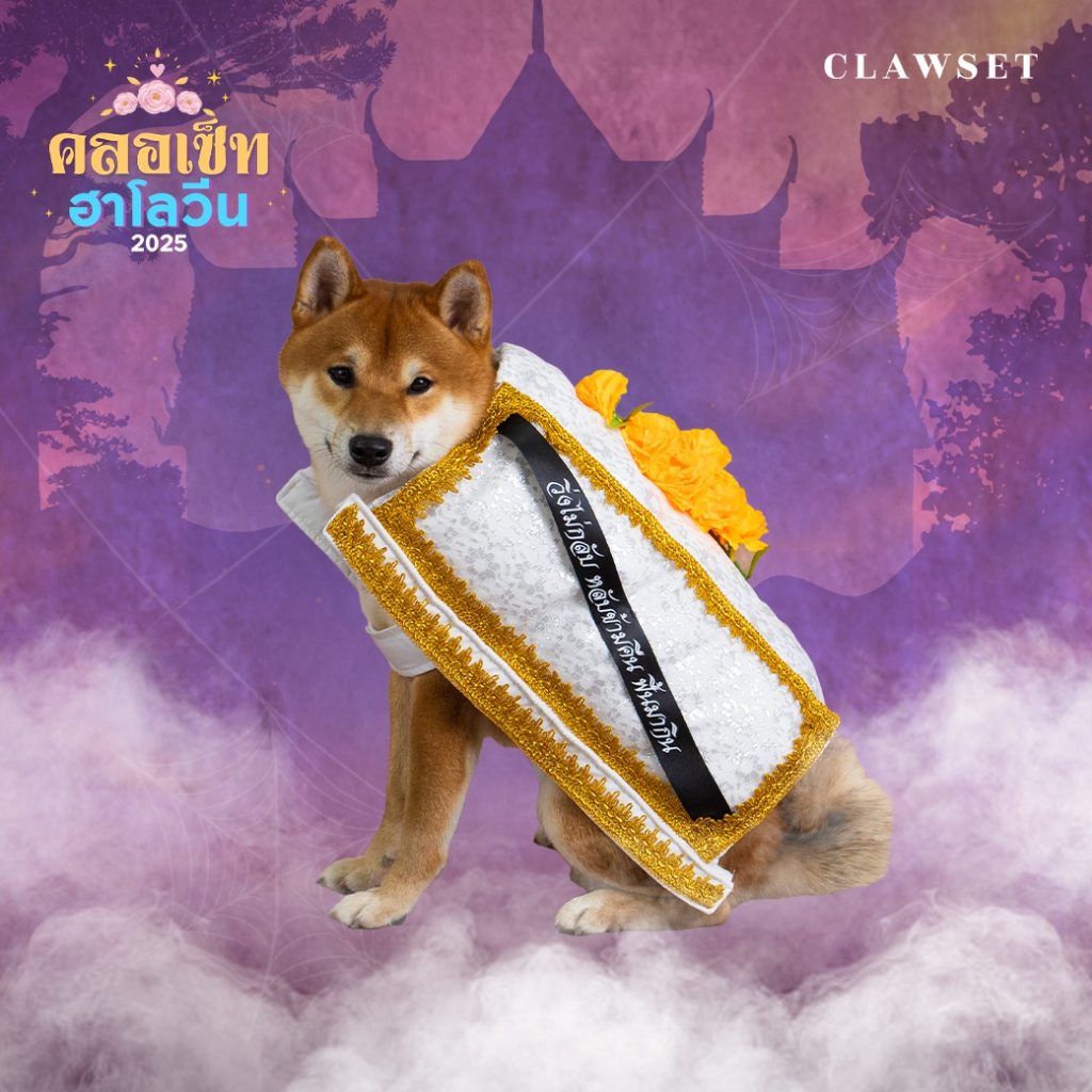 ชุดคอสตูมโลงสะเดาะเคราะห์ต่อชะตา (Thai Casket Costume) ชุดหมาแมว ฮาโลวีน | CLAWSET.BKK