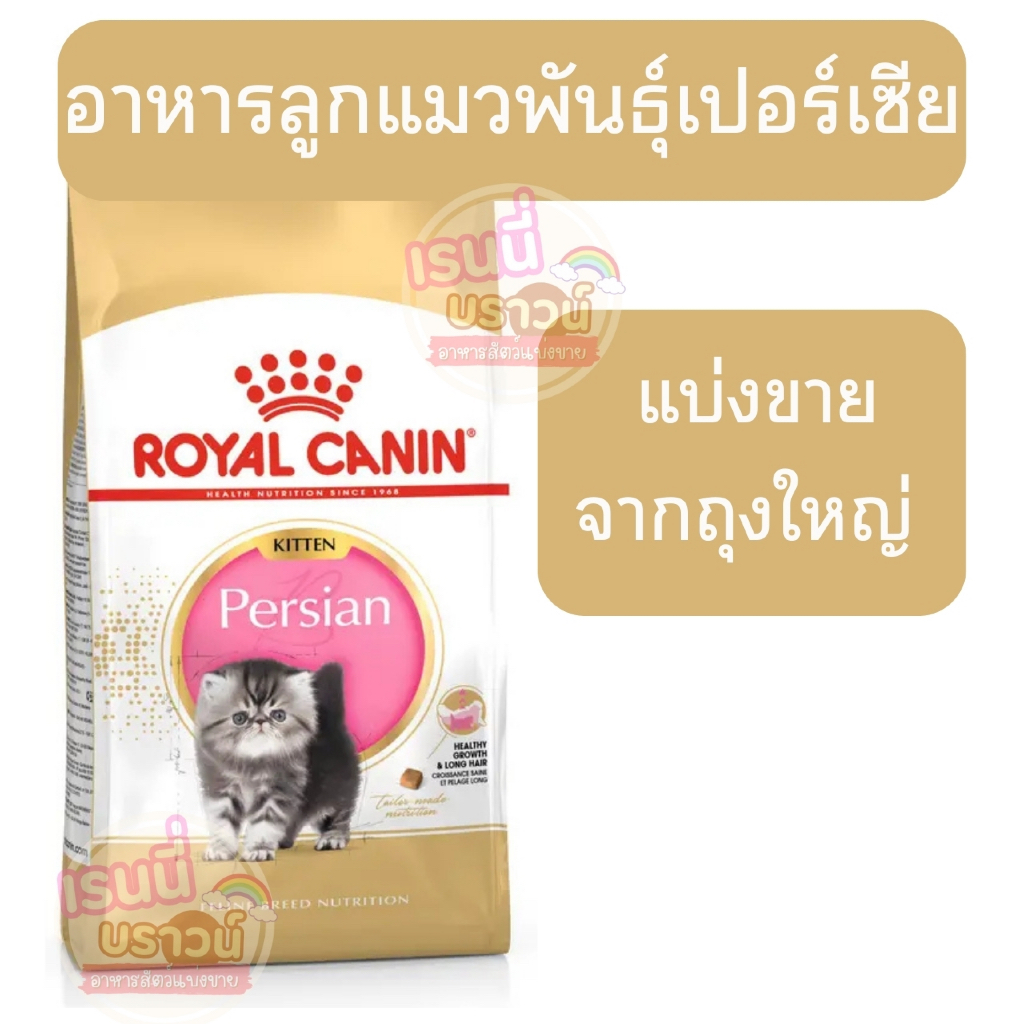 ลูกแมวเปอร์เซีย]] (( ))Royal Canin Persian Kitten