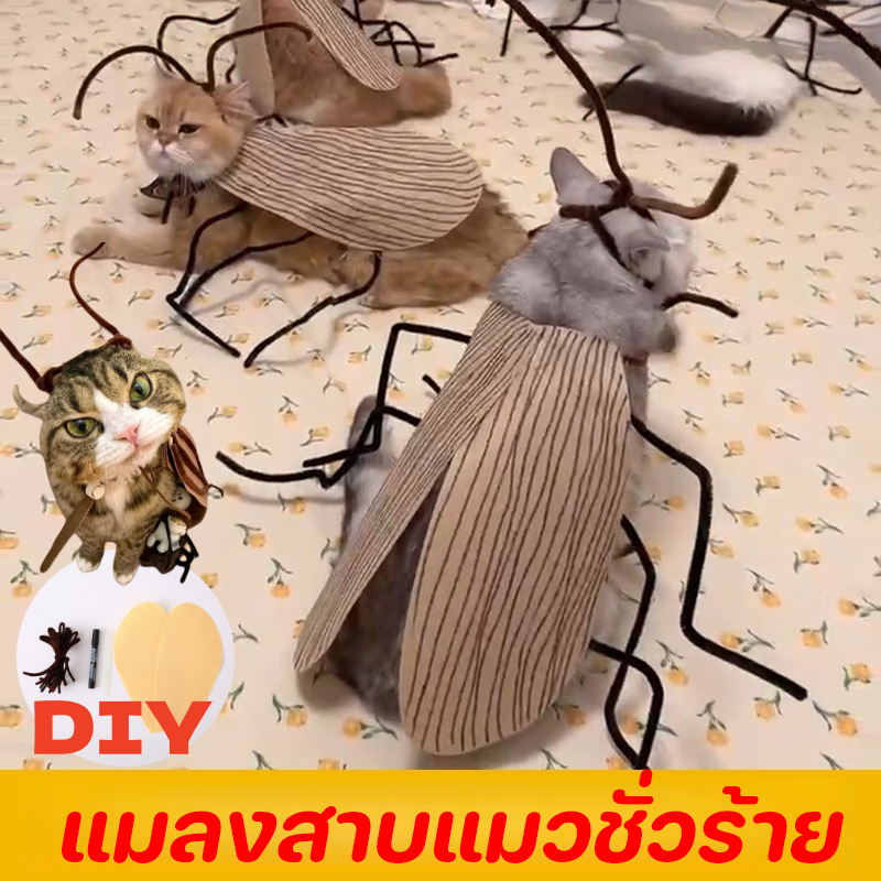 COD เสื้อผ้าแมวและแมลงสาบ DIY เสื้อผ้าสัตว์เลี้ยงแมลงสาบ ทําด้วยมือ แมวปลอม ตลก