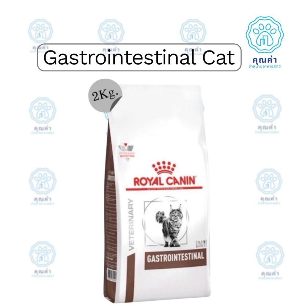 Royal Canin (GASTROINTESTINAL cat)(2kg) อาหารแมว สําหรับแมวโตที่มีความผิดปกติระบบทางเดินอาหาร ชนิดเม็ด