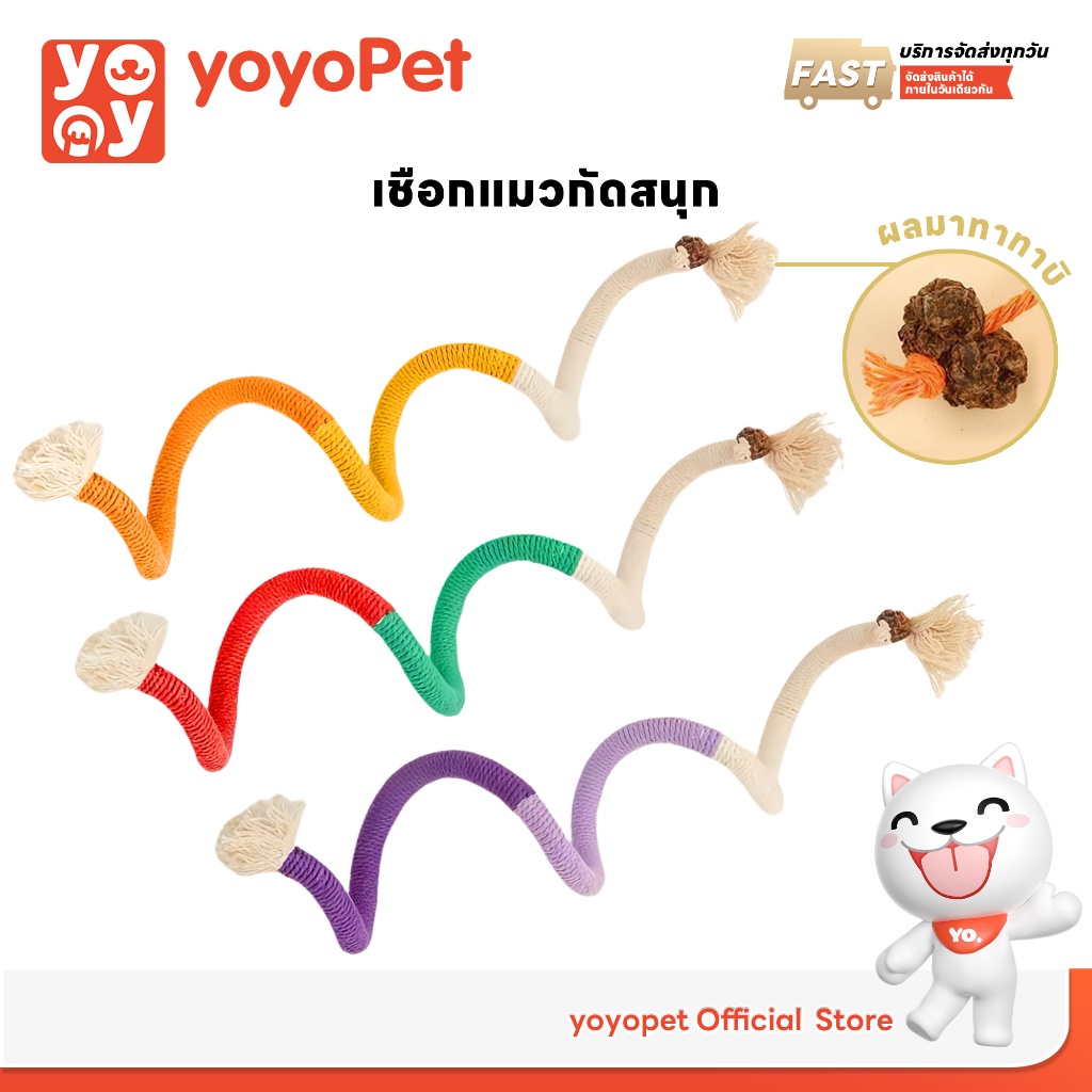 เชือกแมวมาทาทาบิ ของเล่นแมว เชือกตกแมว กัดสนุก ขัดฟันแมว เชือกฝ้ายธรรมชาติ ทําความสะอาดฟัน