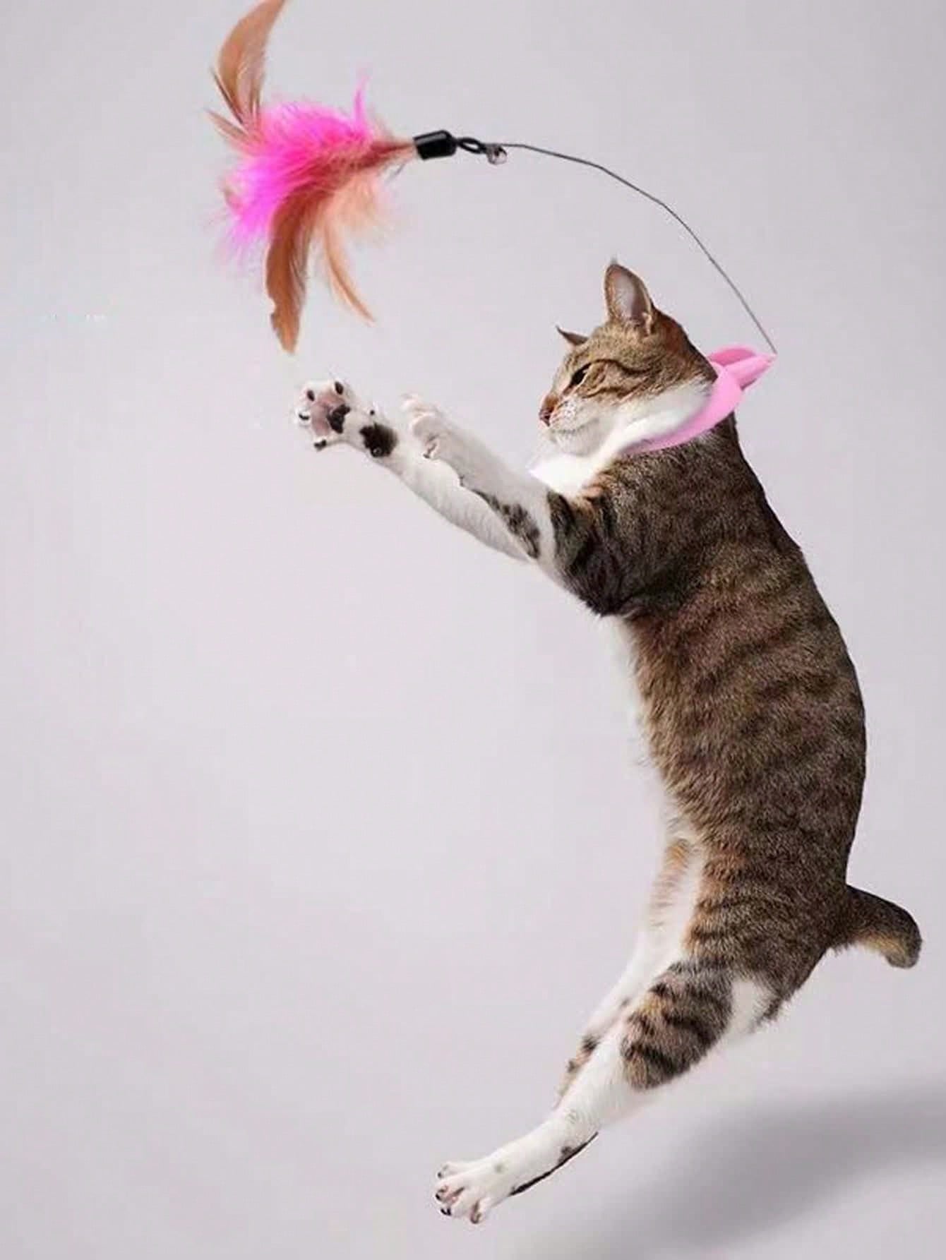 Pet Deshedding ถุงมือนวด Nubs Anti-static Reusable Mitt สําหรับแมวสุนัข