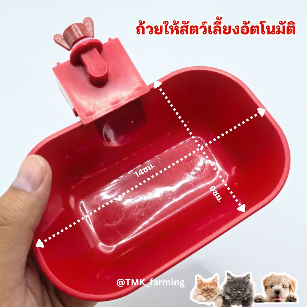 ชามให้น้ําไก่อัตโนมัติ ขนาดใหญ่ สีแดง ถ้วยน้ําแมวหมา ขนาด 14เซน