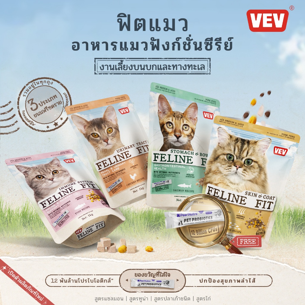 โปรไบโอติกส์ฟรี】VEV 🐈 1 kg. Premium Cat Food Gluten Free