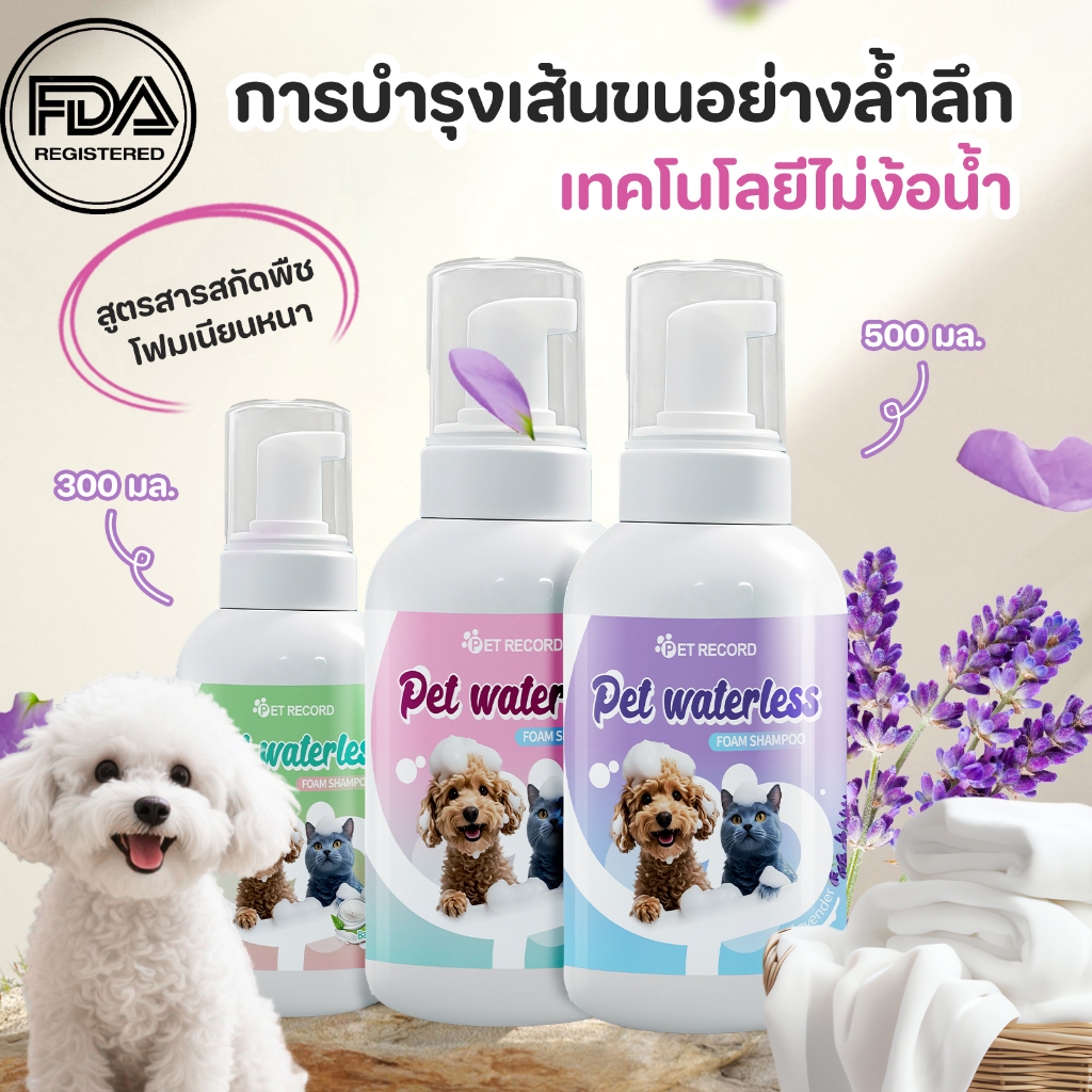 CAT&DOG】โฟมอาบน้ําแห้งสัตว์เลี้ยง แชมพูแมว สบู่อาบน้ําหมา แชมพูสุนัข กลิ่นหอม ดับกลิ่น 300/500ml