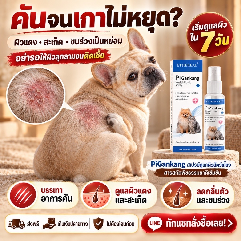 สเปรย์ดูแลผิวหมาแมว 50ml ขี้เรื้อน และสะเก็ดแห้งกรัง l ฉีดง่าย ซึมไว ช่วยหยุดวงจรเกาจนขนแหว่ง ให้ขนใหม่กลับมาขึ้นสวย