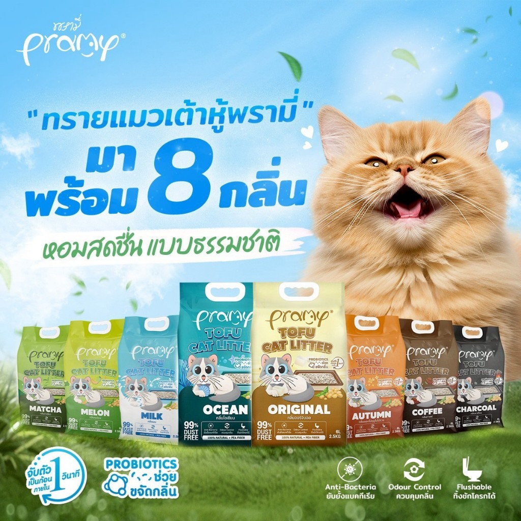 20L.) Pramy พรามี่ ทรายแมวเต้าหู้ ทรายแมว ฝุ่นน้อย จับตัวเป็นก้อนเร็ว ไม่ติดเท้าแมว ขนาด 20L