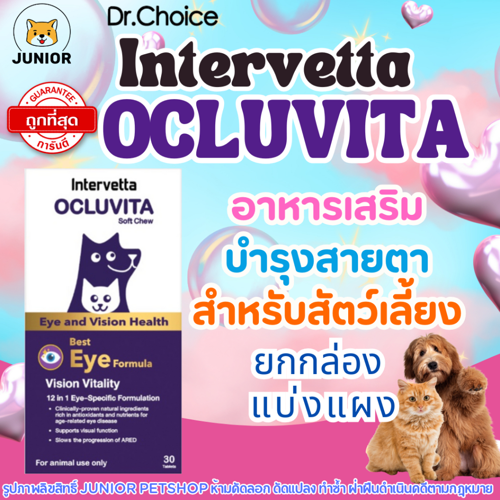 Intervetta Ocluvita Eye (Soft Chew) อาหารเสริมเพื่อบํารุงสายตาและดวงตา สําหรับสุนัขและแมว