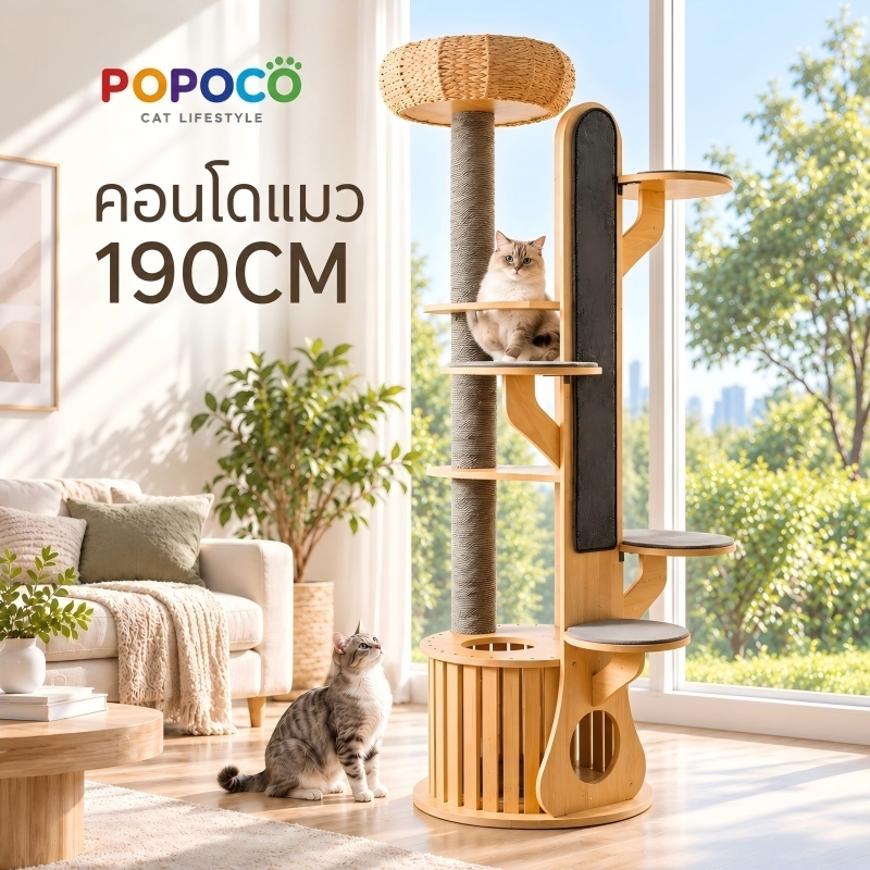 POPOCO】 คอนโดแมวไม้แท้ 190CM หลุมอวกาศใสขนาดใหญ่ เสาลับเล็บซิซอล บ้านแมวหลายชั้น แข็งแรง รับน้ําหนักดี ดีไซน์หรู