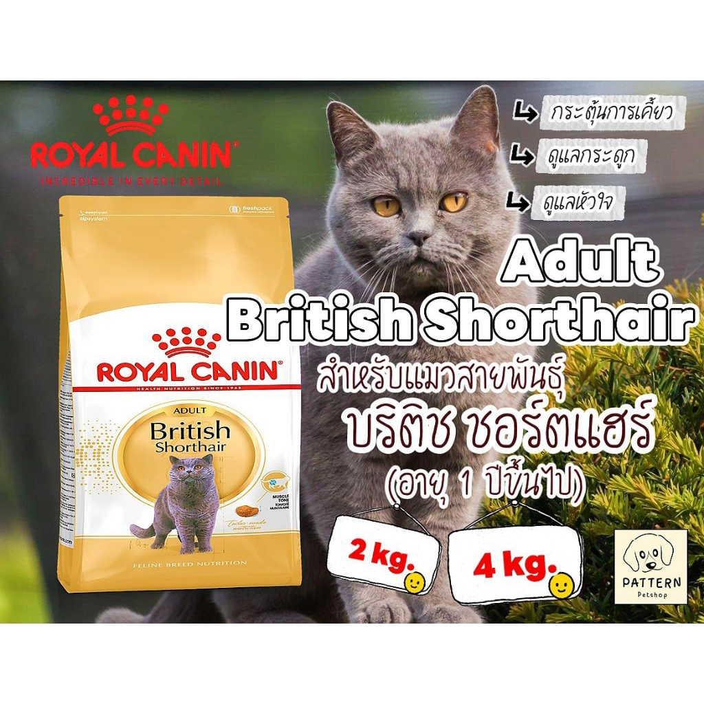 Royal Canin British Shorthair Adult ( 2 kg.และ 4 kg.) สําหรับแมวโตพันธุ์บริติช ชอร์ตแฮร์ อายุ 1 ปีขึ้นไป