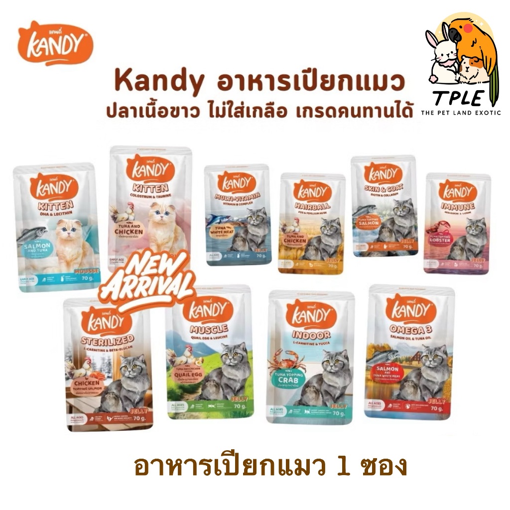 Kandy Cat Wet food อาหารเปียกแมวแคนดี้ ไม่เติมเกลือ ขนาด 70 กรัม ( 1 ซอง )