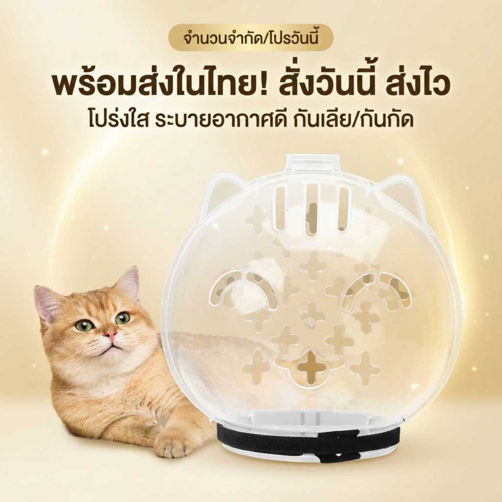 อุปกรณ์สัตว์เลี้ยง หมวกครอบหัวแมว ป้องกันการเลียแผล ป้องกันข่วนหน้า ในไทย ล้างสต็อกราคาพิเศษ