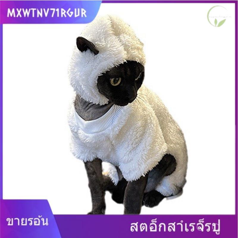 mxwtnv71rgur.th] เสื้อผ้าแมวไร้ขนน่ารัก, เปลี่ยนแมวของคุณเป็นแกะเสื้อกันหนาวสัตว์เลี้ยงแกะออกแบบเสื้อผ้าสัตว์เลี้ยงกันหนาวหมวกสัต