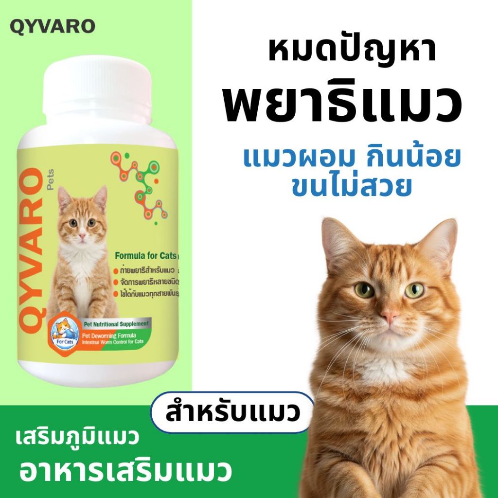 เสริมอาหารแมว ดูแลป้องกันพยาธิแมว เสริมภูมิ ดูแลสุขภาพแมว