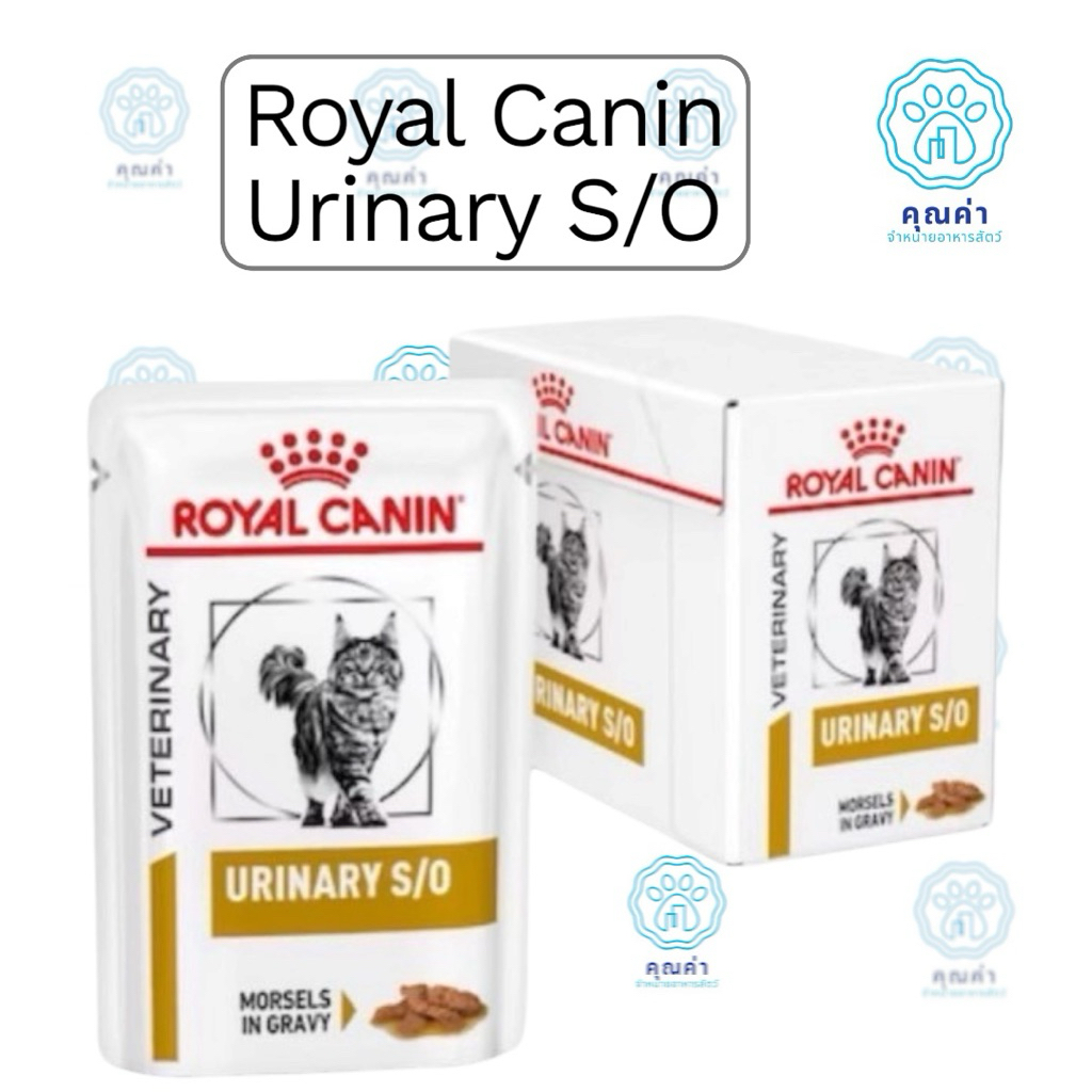 Royal Canin (URINARY Pouch cat)(1โหล) อาหารแมว ชนิดเปียก