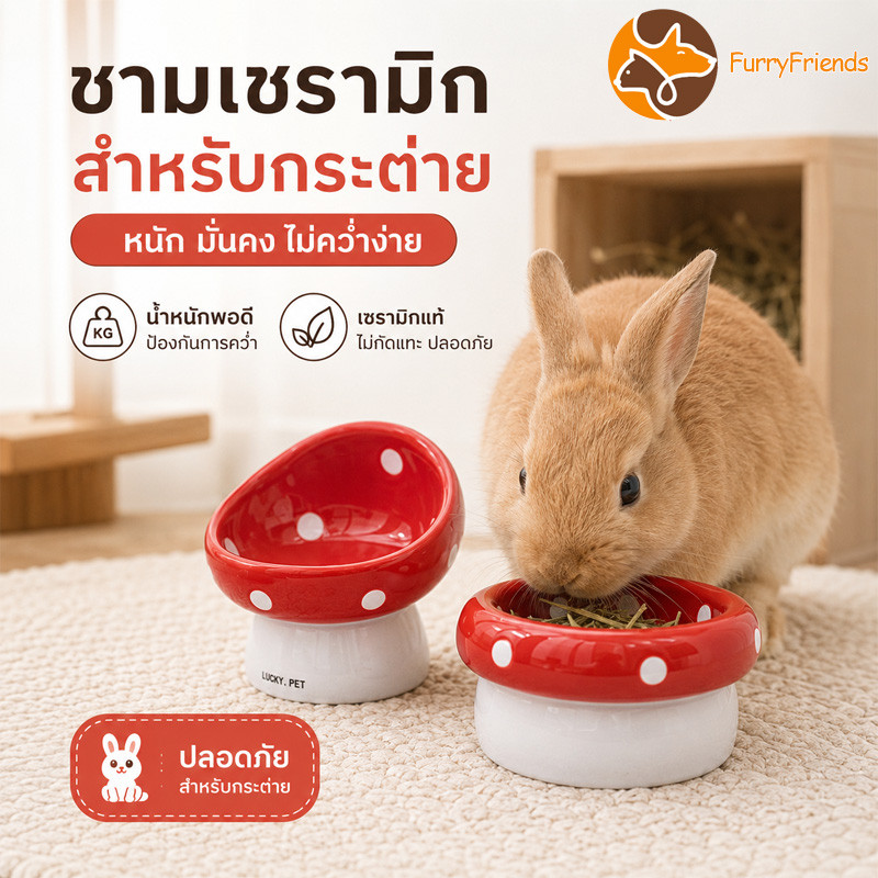 ชามกระต่าย ชามอาหารกระต่าย วัสดุเซรามิค ป้องกันการพลิกคว่ํา ความจุสูง ล้างง่าย ความสูงที่เหมาะสม