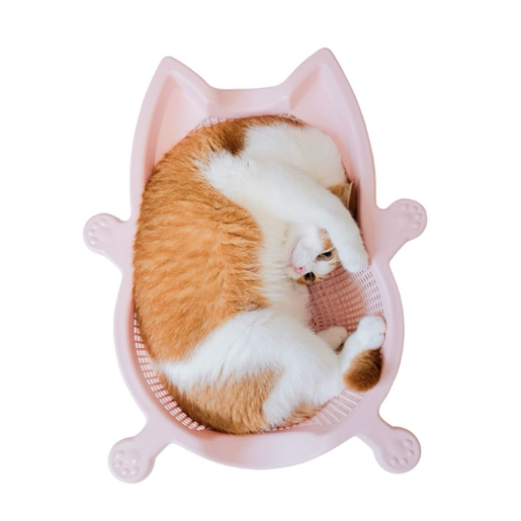 ตะกร้าแมว Cat bang จากเกาหลี ตะกร้าแมว + พร้อมฐาน