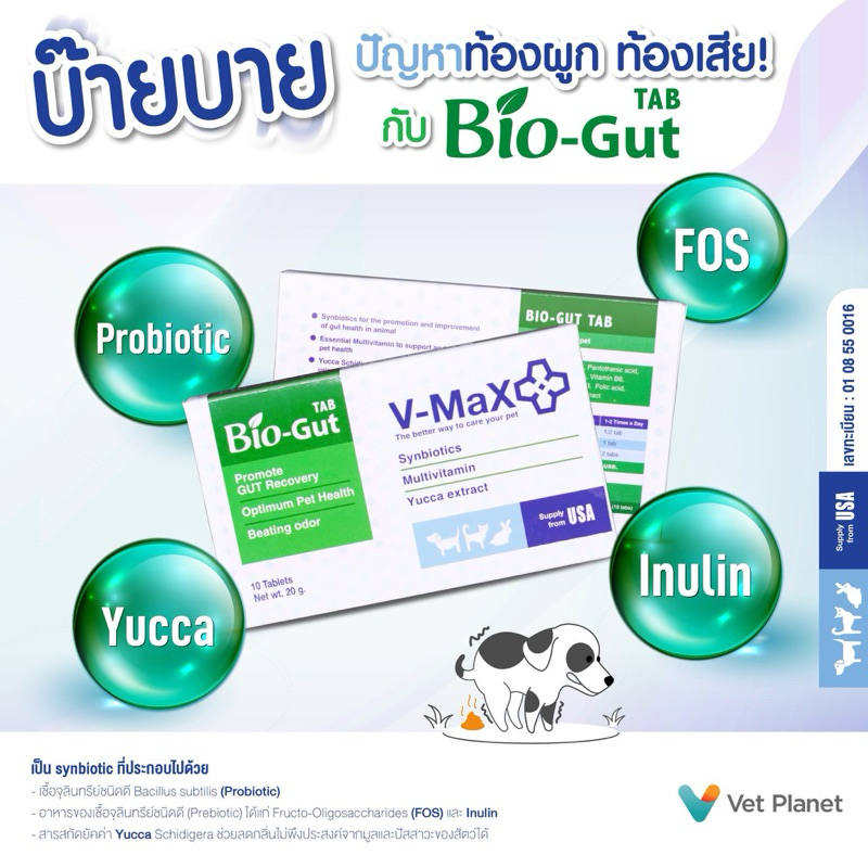 Bio-Gut สําหรับสุนัขและแมว 10 เม็ด ปรับสมดุลในระบบทางเดินอาหาร