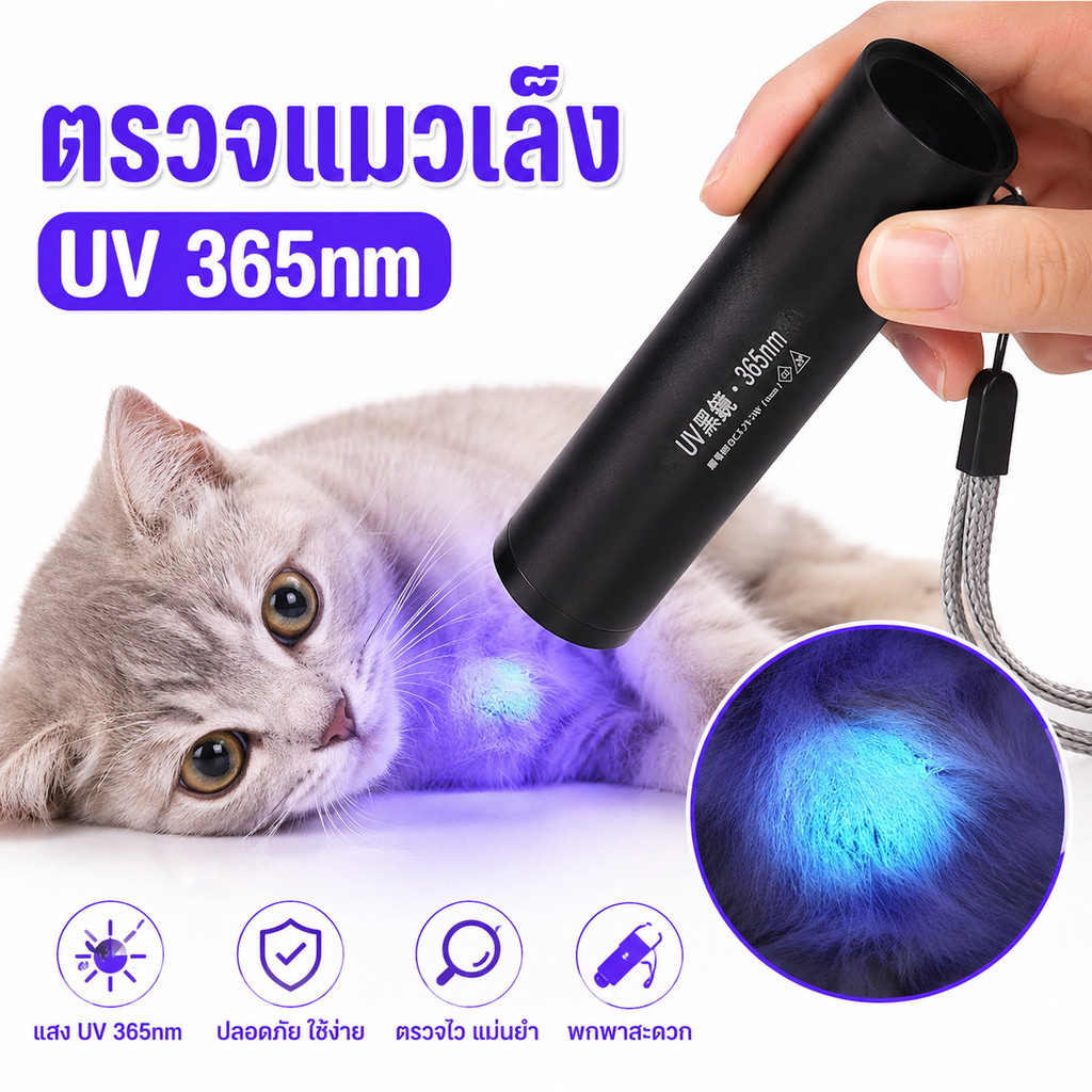 ไฟฉาย UV 365nm LED ตรวจปัสสาวะสัตว์เลี้ยง ตรวจเชื้อราแมว ชาร์จ USB Blacklight พกพาง่าย