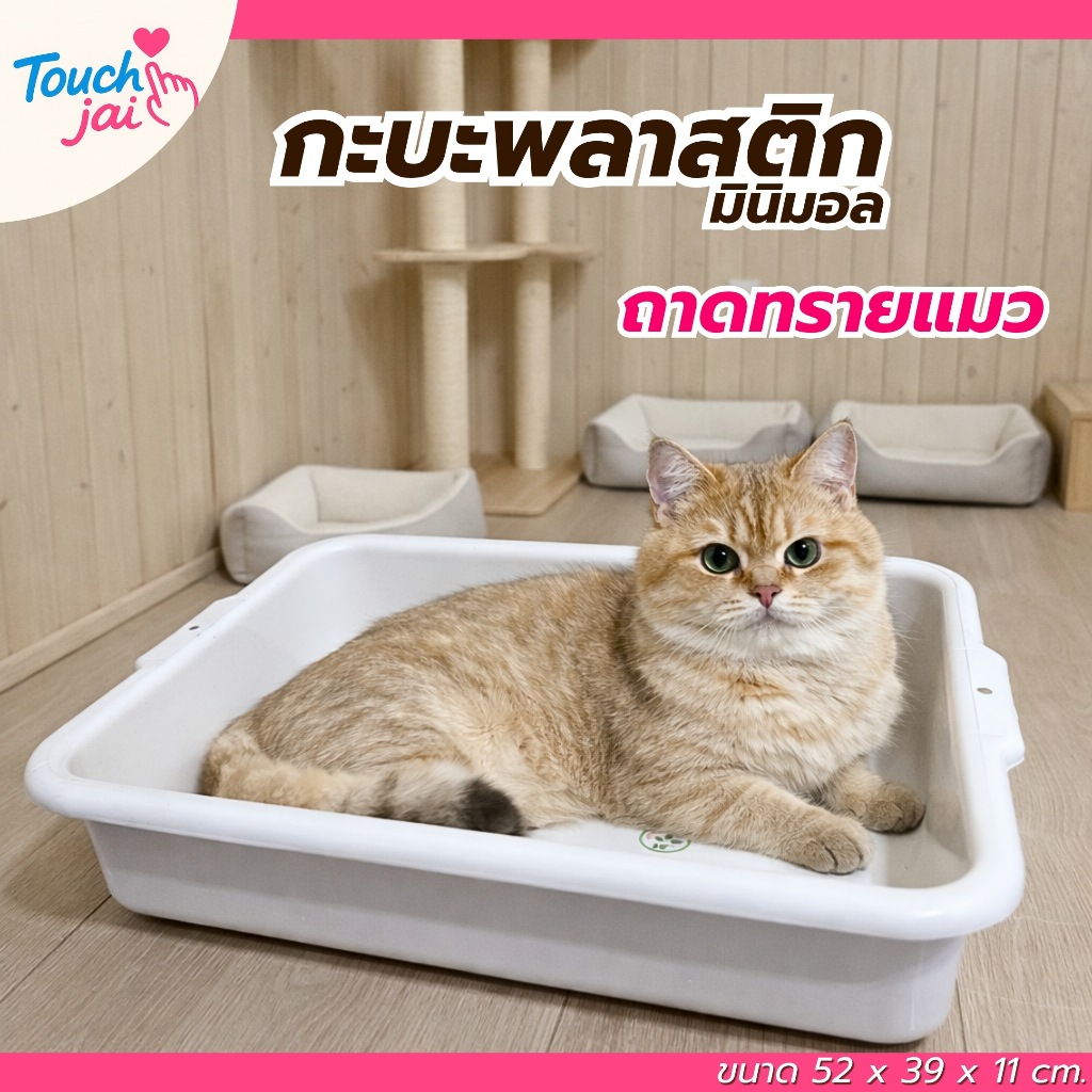 กะบะสี่เหลี่ยม พลาสติก อเนกประสงค์ ขนาดใหญ่ กะบะทรายแมว ใส่สิ่งของต่างๆ