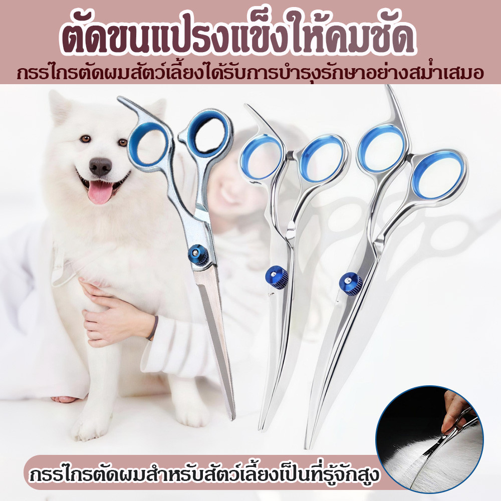 สัตว์เลี้ยงสุนัขกรูมมิ่งกรรไกร โค้งขึ้นลงตัดคมขอบ วัสดุสแตนเลส สัตว์แมวผมปัตตาเลี่ยนตัดผมกรรไกร ชุดเครื่องมือ