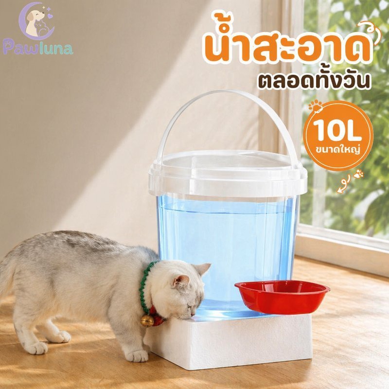 น้ําพุสัตว์เลี้ยงอัตโนมัติเครื่องดื่มแมว 10ล โปร่งใสเงียบพิเศษความจุขนาดใหญ่พลาสติก