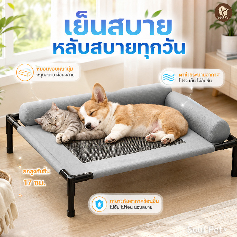 ที่นอนสุนัขยกสูง ที่นอนแมวฤดูร้อน เตียงแมว เนื้อผ้าโปร่ง กันชื้น กันความร้อน นุ่มสบาย เบาะนอนสุนัข