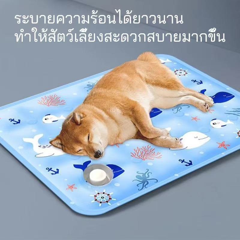 แผ่นเจลเย็นสัตว์เลี้ยง เบาะเย็นแมวและสุนัข ที่นอนคลายร้อนฤดูร้อน